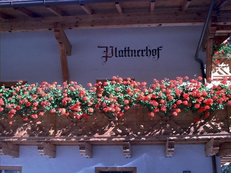 Plattnerhof كاونرتال الغرفة الصورة